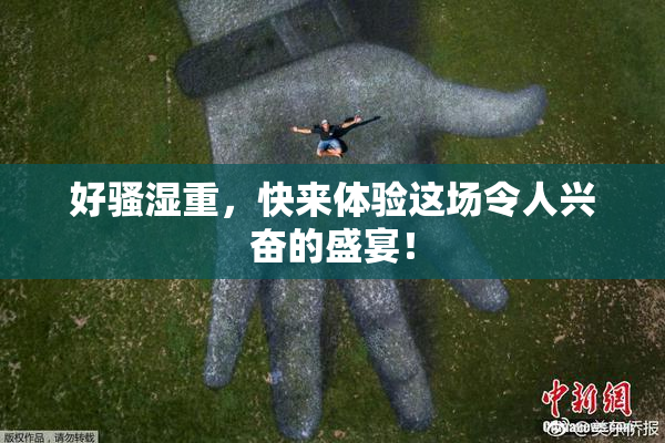 好骚湿重，快来体验这场令人兴奋的盛宴！