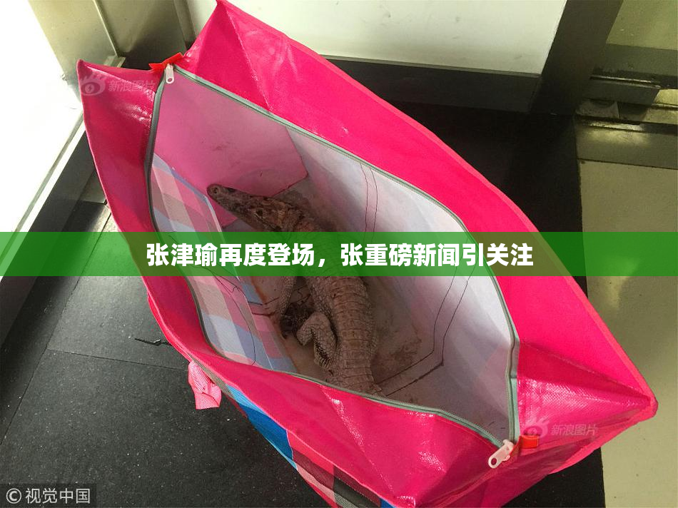 张津瑜再度登场，张重磅新闻引关注