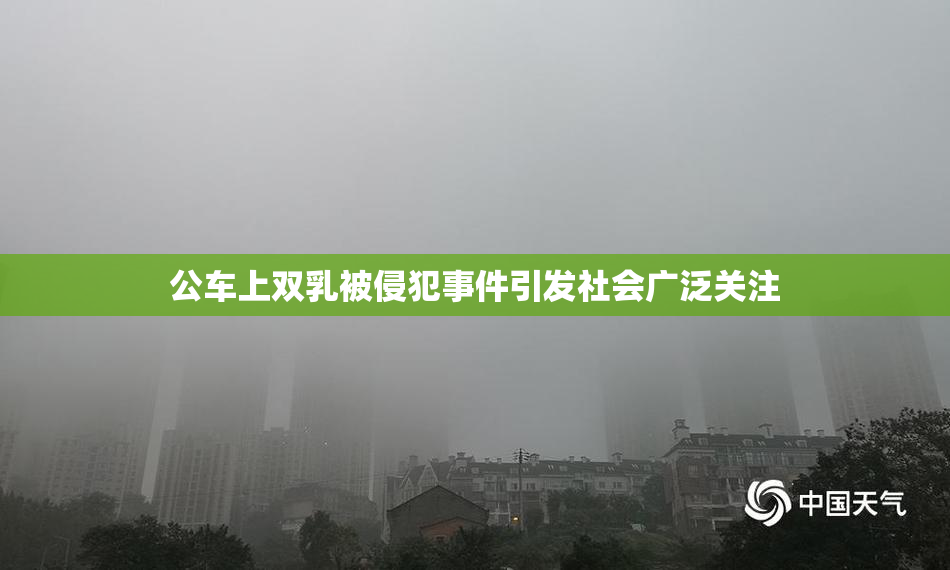 公车上双乳被侵犯事件引发社会广泛关注