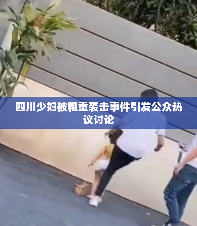 四川少妇被粗重袭击事件引发公众热议讨论