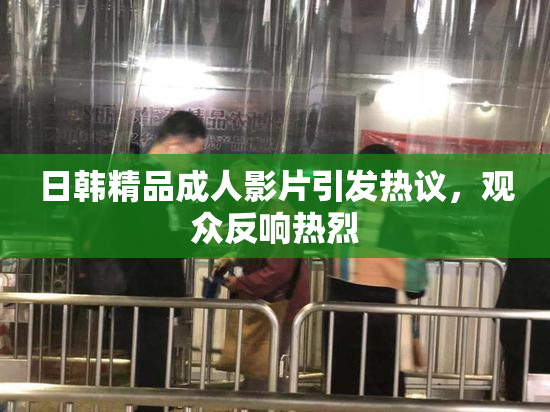 日韩精品成人影片引发热议，观众反响热烈