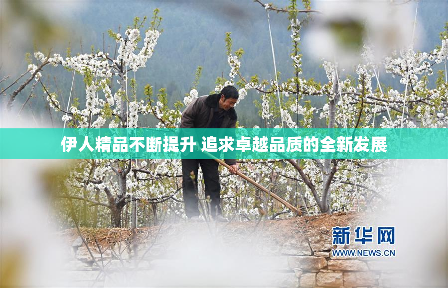 伊人精品不断提升 追求卓越品质的全新发展