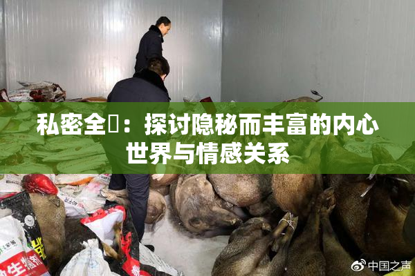 私密全婐：探讨隐秘而丰富的内心世界与情感关系