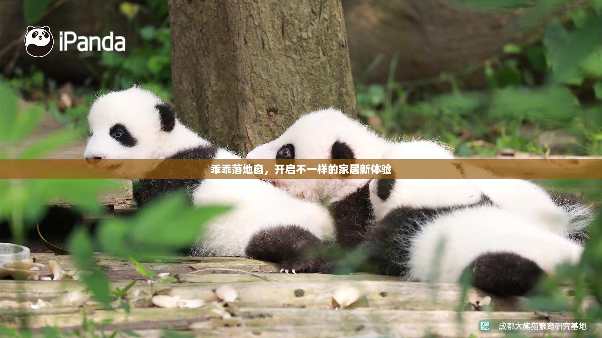 乖乖落地窗，开启不一样的家居新体验