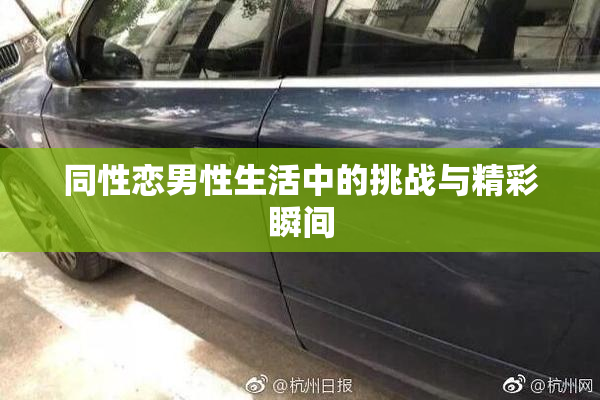 同性恋男性生活中的挑战与精彩瞬间