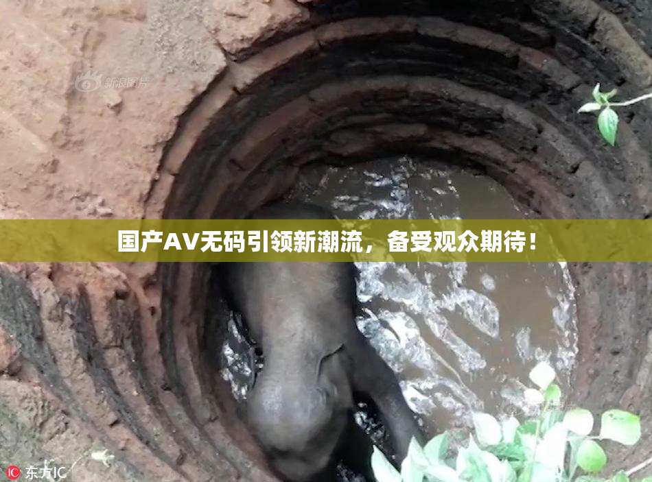 国产AV无码引领新潮流，备受观众期待！