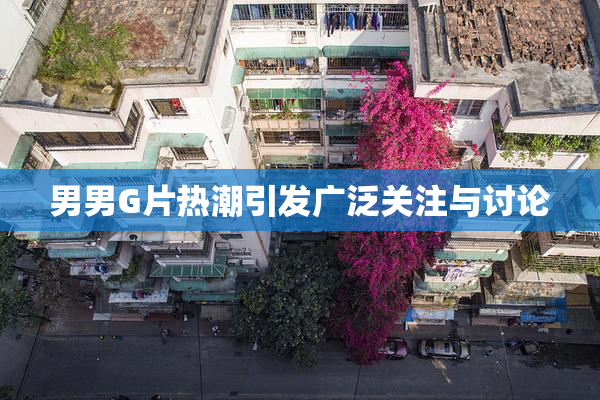 男男G片热潮引发广泛关注与讨论