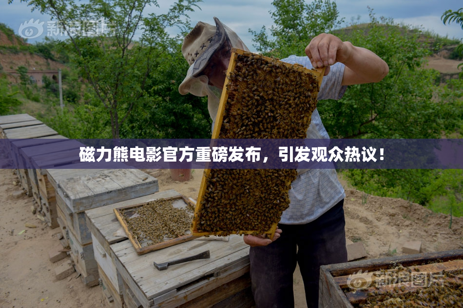 磁力熊电影官方重磅发布，引发观众热议！