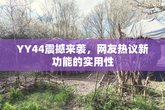 YY44震撼来袭，网友热议新功能的实用性