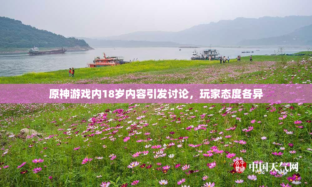 原神游戏内18岁内容引发讨论，玩家态度各异