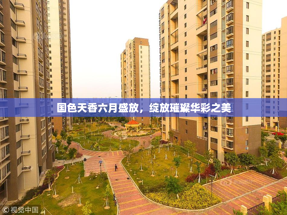 国色天香六月盛放，绽放璀璨华彩之美