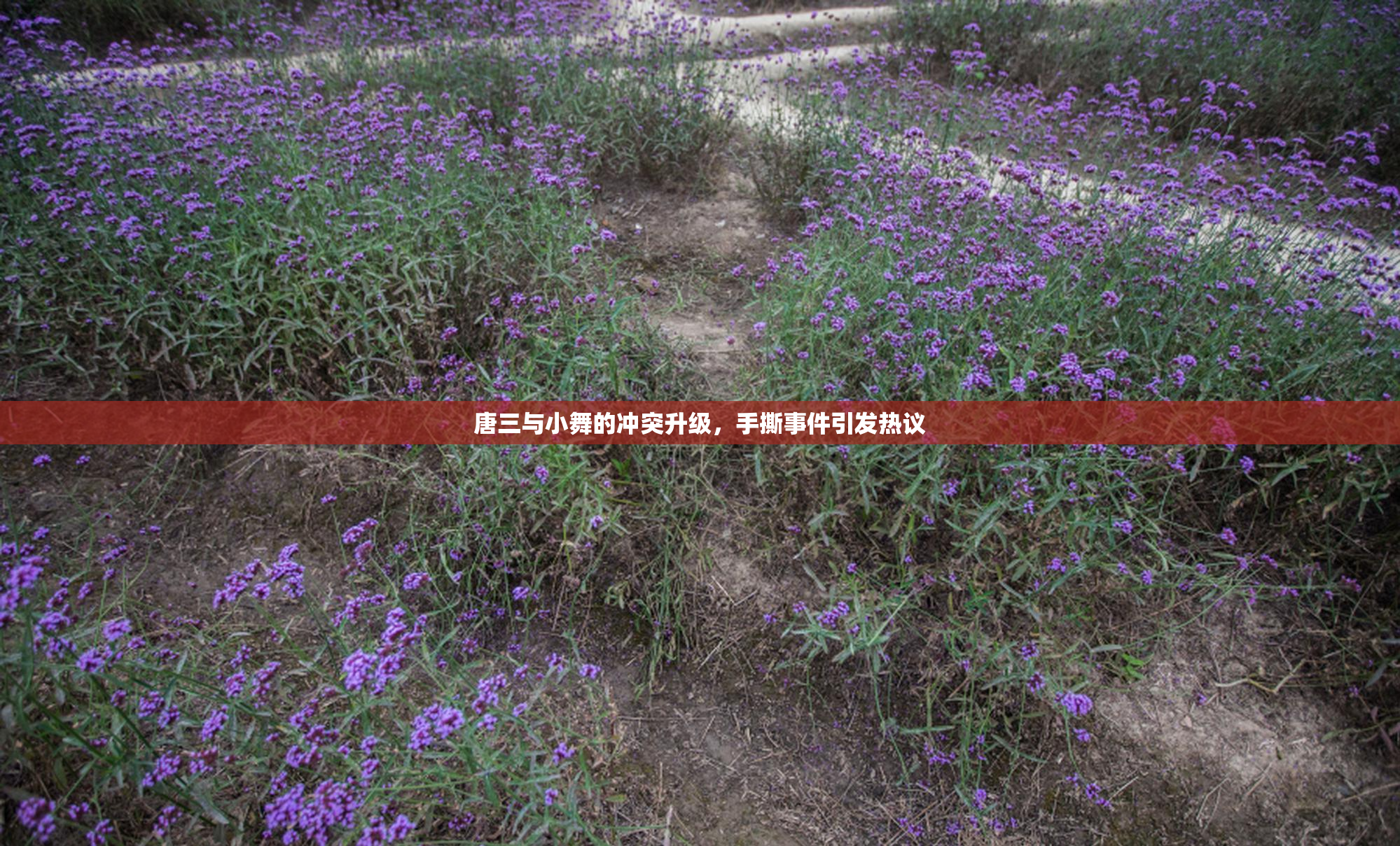 唐三与小舞的冲突升级，手撕事件引发热议