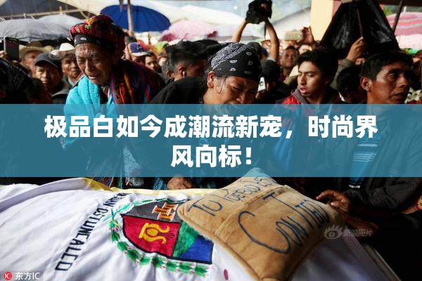 极品白如今成潮流新宠，时尚界风向标！