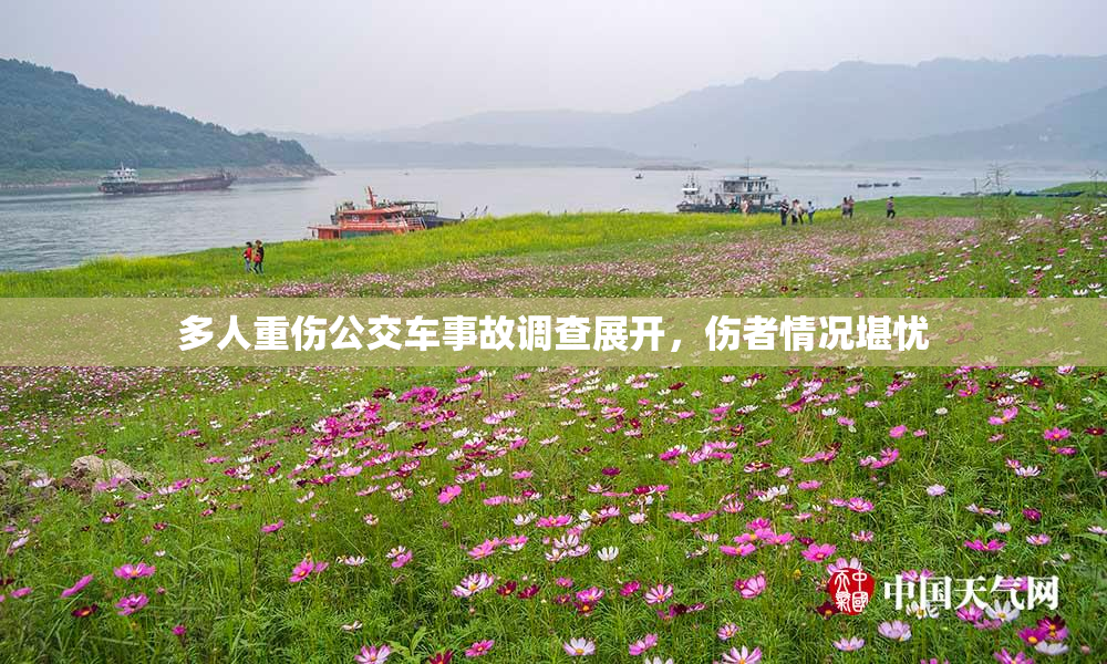 多人重伤公交车事故调查展开，伤者情况堪忧