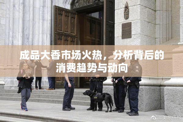 成品大香市场火热，分析背后的消费趋势与动向