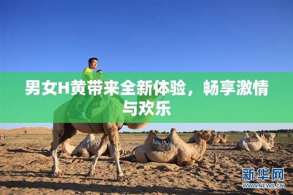 男女H黄带来全新体验，畅享激情与欢乐