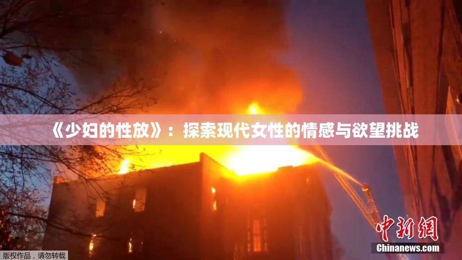 《少妇的性放》：探索现代女性的情感与欲望挑战
