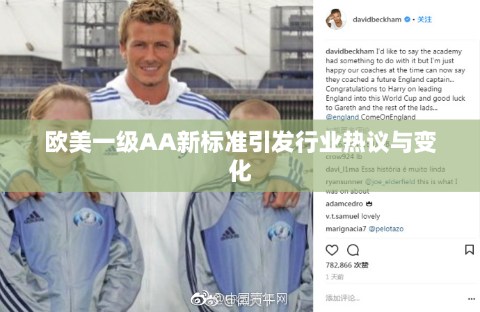 欧美一级AA新标准引发行业热议与变化