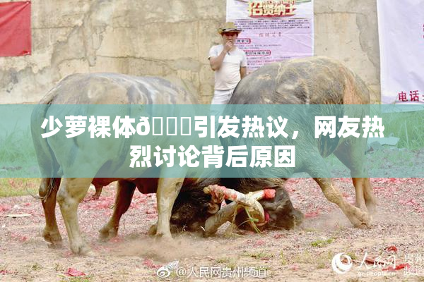 少萝裸体🔞引发热议，网友热烈讨论背后原因