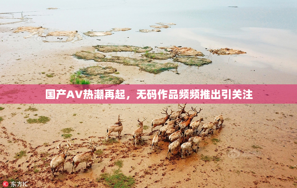 国产AV热潮再起，无码作品频频推出引关注