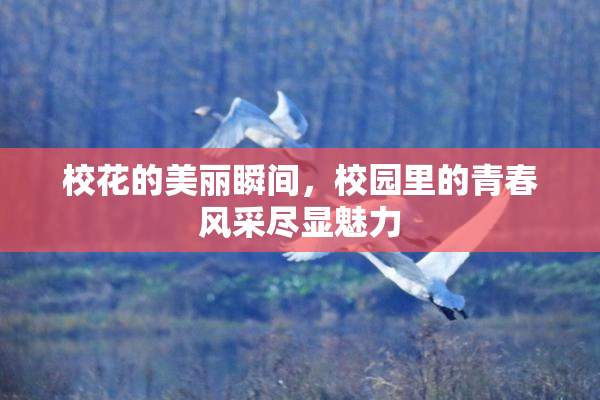 校花的美丽瞬间，校园里的青春风采尽显魅力