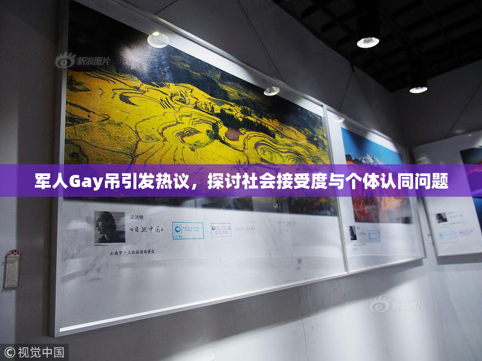 军人Gay吊引发热议，探讨社会接受度与个体认同问题