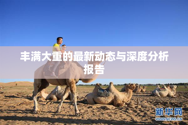 丰满大重的最新动态与深度分析报告