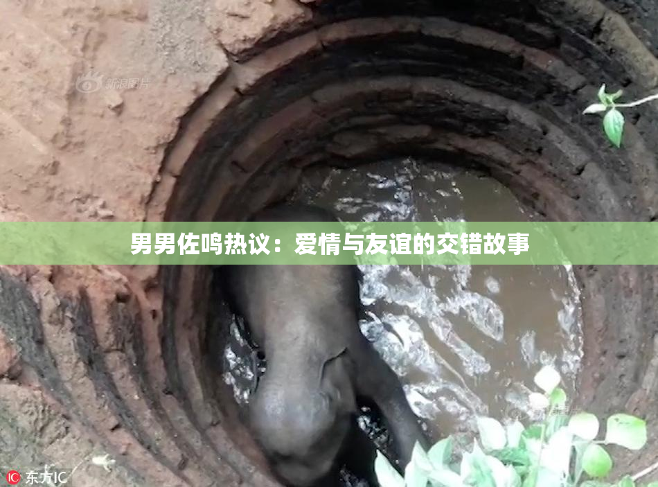 男男佐鸣热议：爱情与友谊的交错故事
