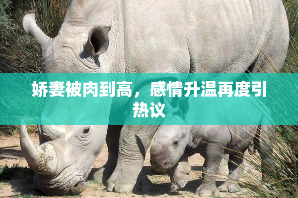 娇妻被肉到高，感情升温再度引热议