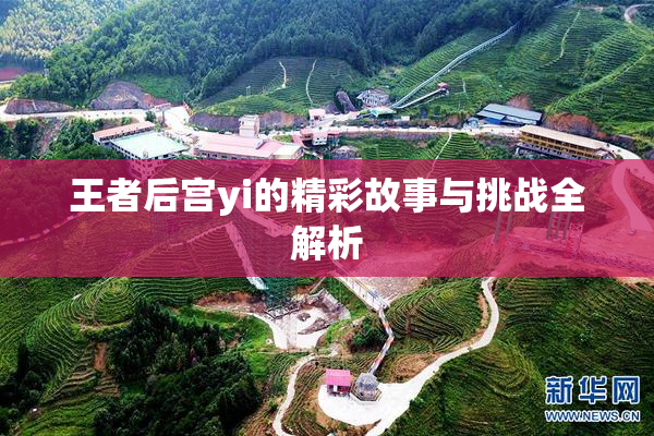王者后宫yi的精彩故事与挑战全解析