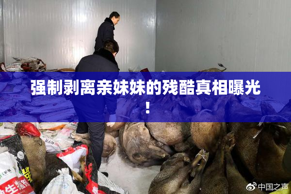 强制剥离亲妹妹的残酷真相曝光！