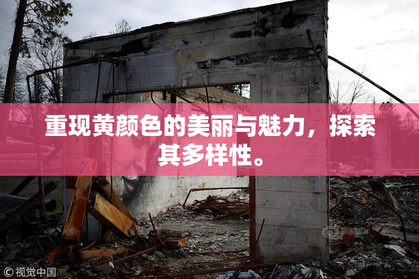 重现黄颜色的美丽与魅力，探索其多样性。
