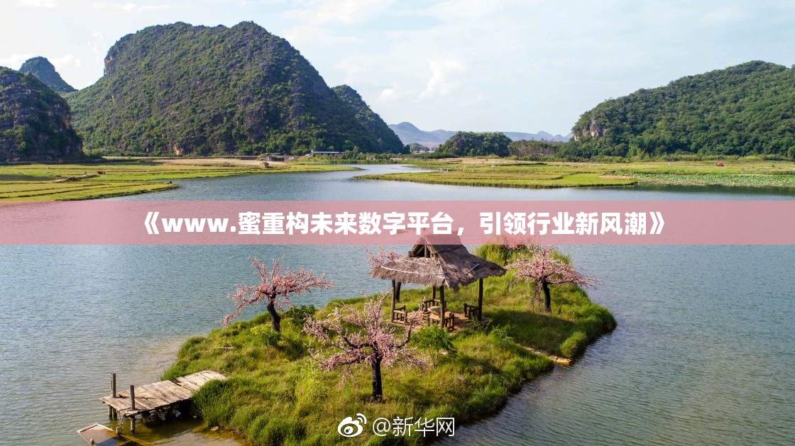 《www.蜜重构未来数字平台，引领行业新风潮》