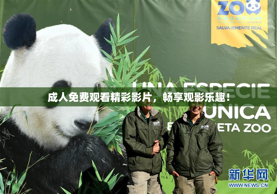 成人免费观看精彩影片，畅享观影乐趣！