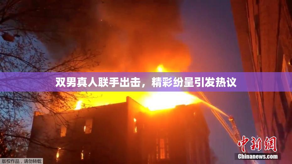 双男真人联手出击，精彩纷呈引发热议