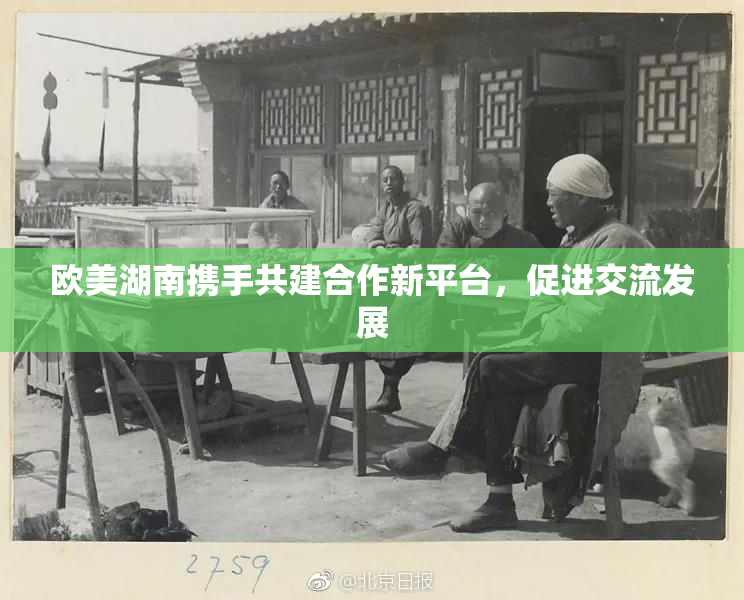 欧美湖南携手共建合作新平台，促进交流发展
