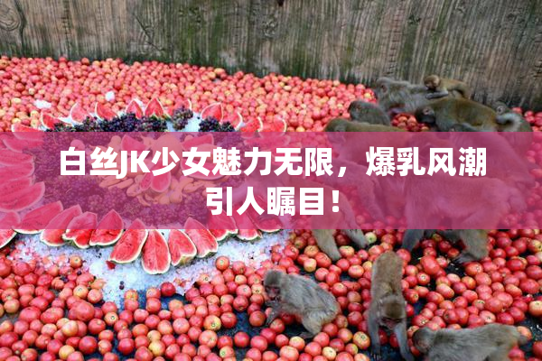 白丝JK少女魅力无限，爆乳风潮引人瞩目！