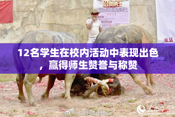 12名学生在校内活动中表现出色，赢得师生赞誉与称赞