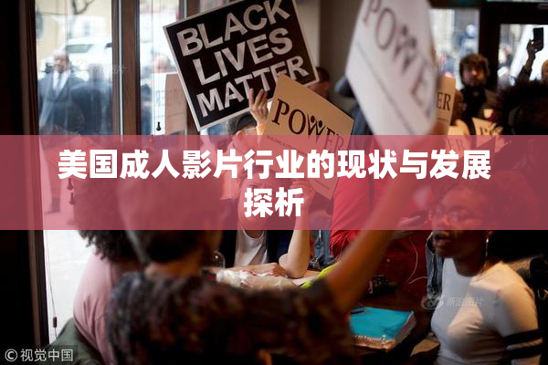 美国成人影片行业的现状与发展探析