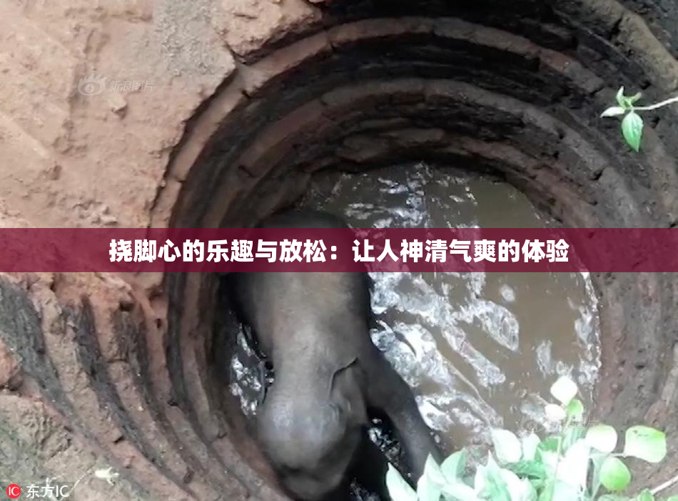 挠脚心的乐趣与放松：让人神清气爽的体验