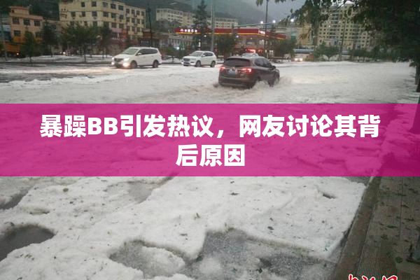 暴躁BB引发热议，网友讨论其背后原因