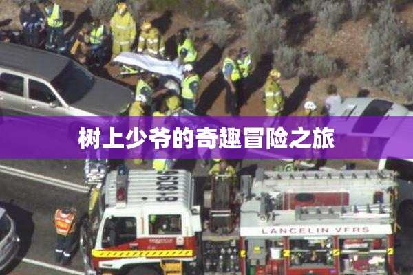 树上少爷的奇趣冒险之旅