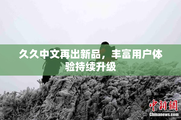 久久中文再出新品，丰富用户体验持续升级