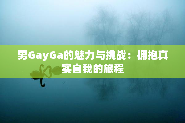 男GayGa的魅力与挑战：拥抱真实自我的旅程