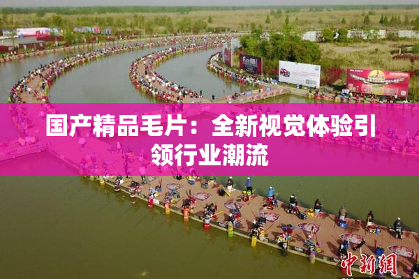 国产精品毛片：全新视觉体验引领行业潮流