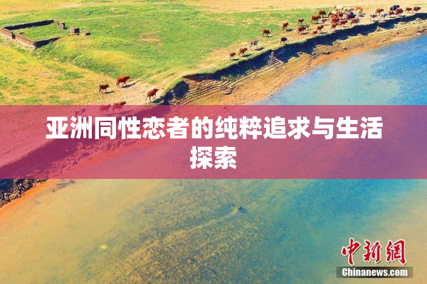 亚洲同性恋者的纯粹追求与生活探索
