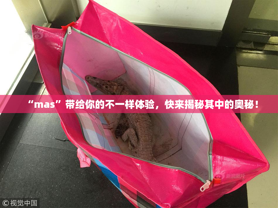 “mas”带给你的不一样体验，快来揭秘其中的奥秘！