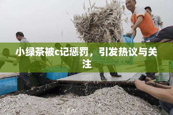 小绿茶被c记惩罚，引发热议与关注