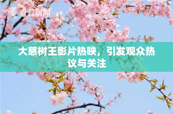 大慈树王影片热映，引发观众热议与关注