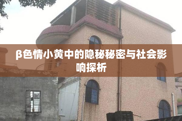 β色情小黄中的隐秘秘密与社会影响探析